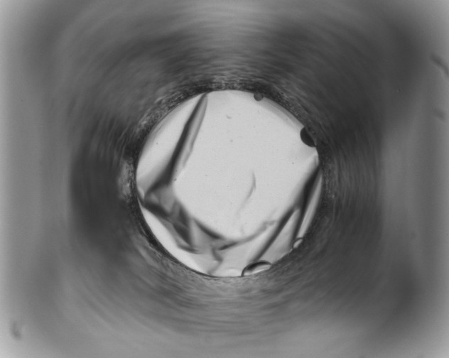 X0000101170038200807251143