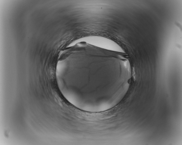 X0000101170039200807251143