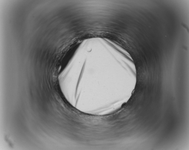 X0000101170040200807251143