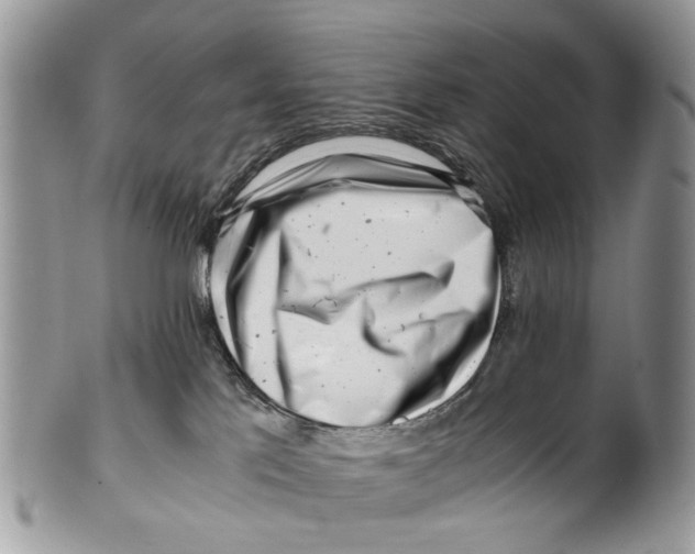 X0000101170041200807251143