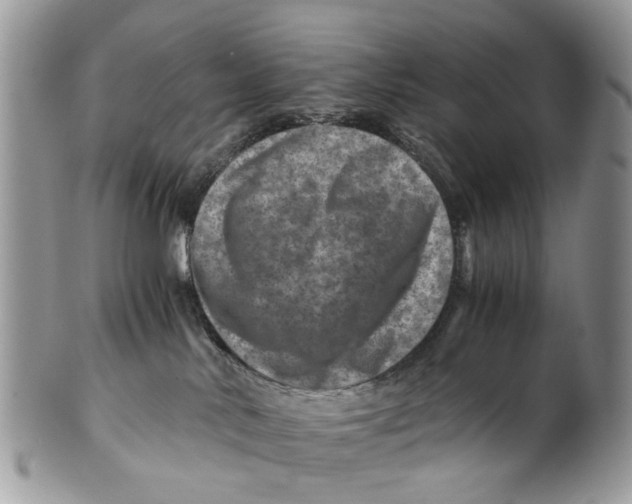 X0000101170042200807251143