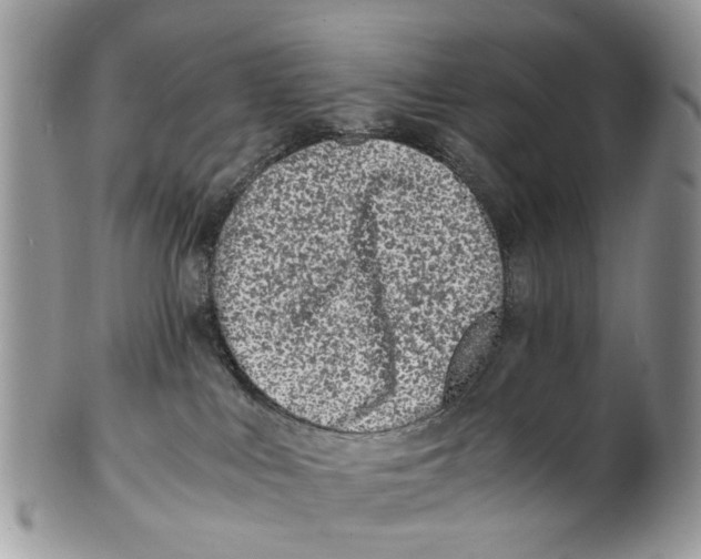 X0000101170043200807251143