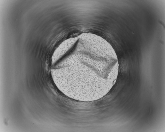 X0000101170044200807251143