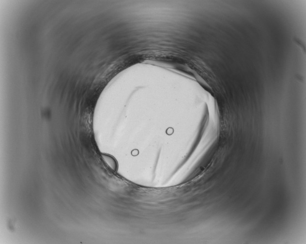 X0000101170045200807251142