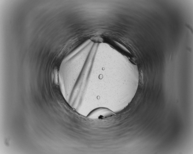 X0000101170046200807251142