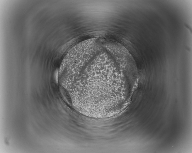 X0000101170047200807251142