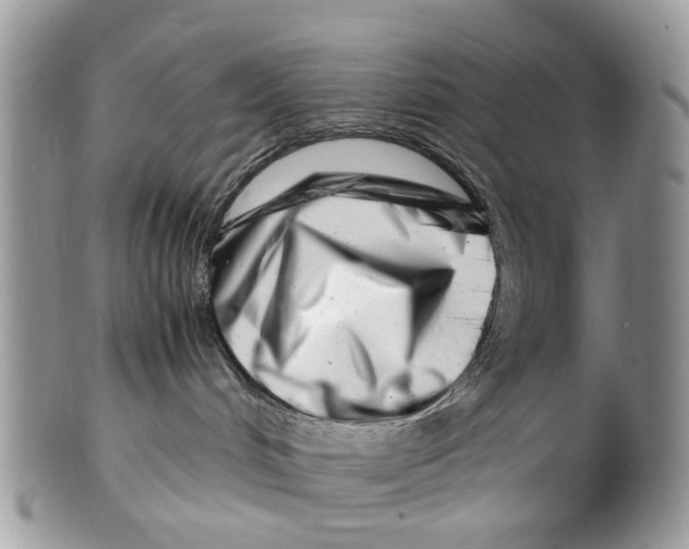 X0000101170048200807251142