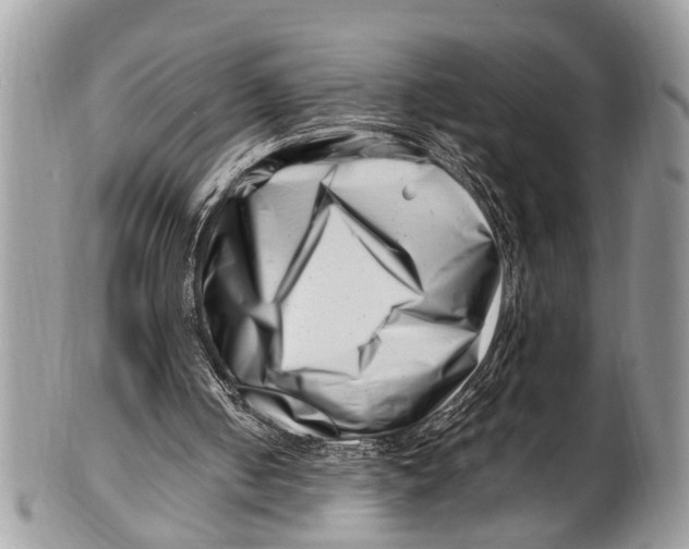 X0000101170050200807251142
