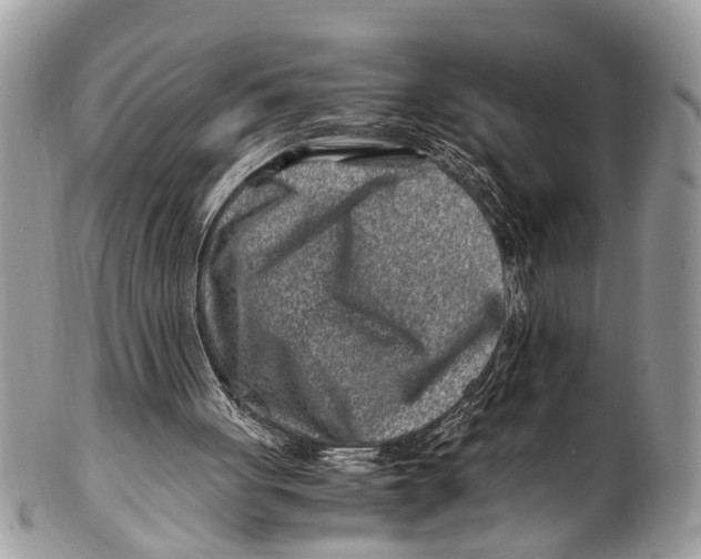 X0000101170051200807251142