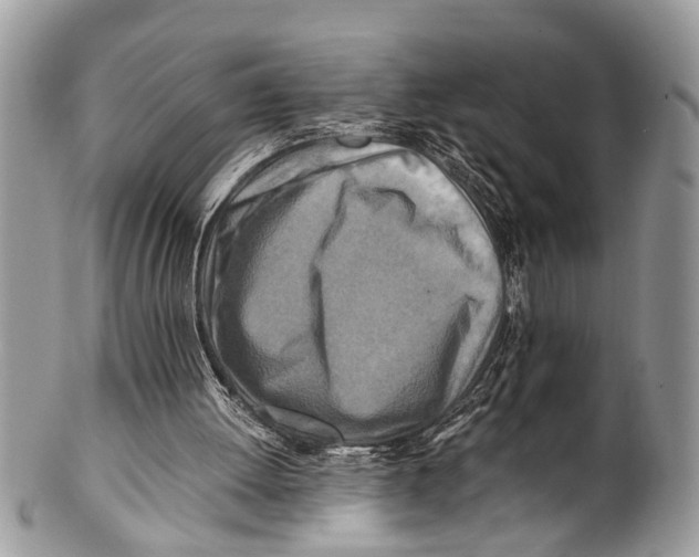 X0000101170052200807251142