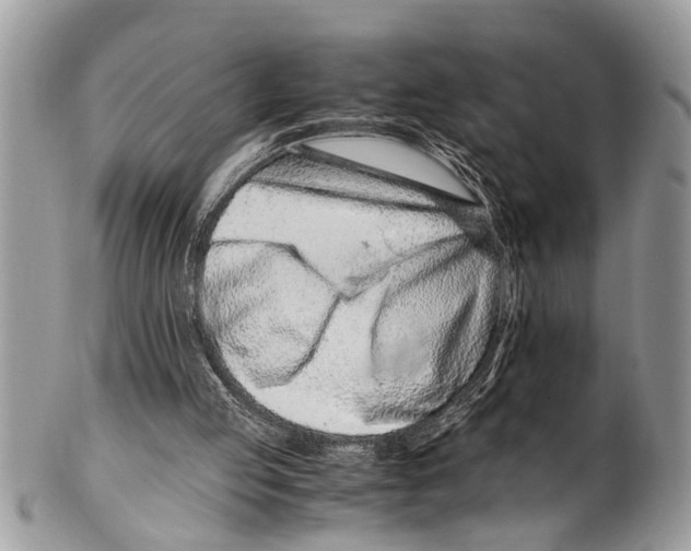 X0000101170053200807251142