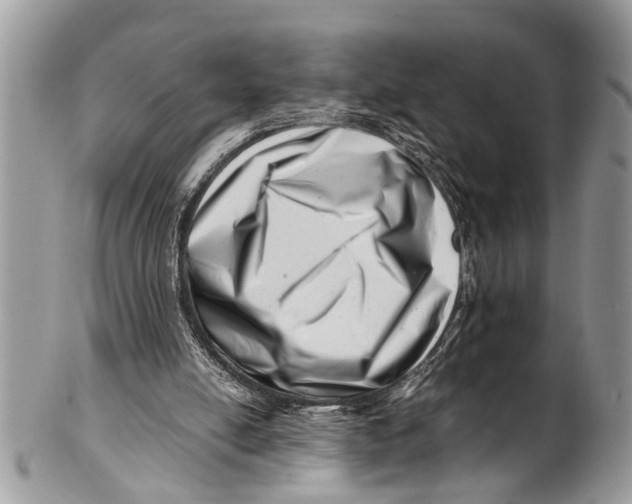 X0000101170054200807251142