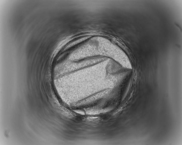 X0000101170055200807251142