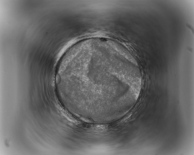 X0000101170056200807251142
