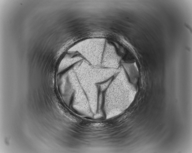 X0000101170059200807251142