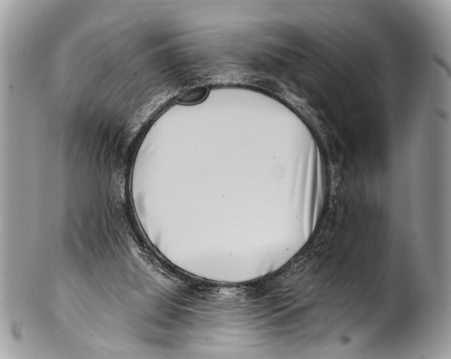 X0000101170060200807251142