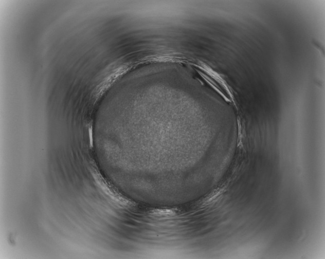 X0000101170061200807251142