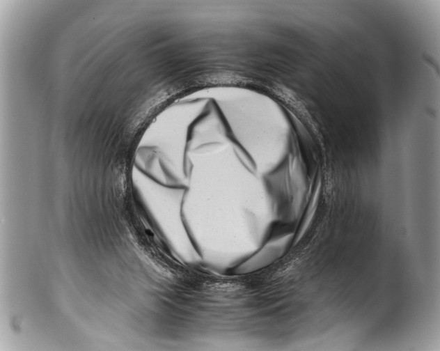 X0000101170063200807251142
