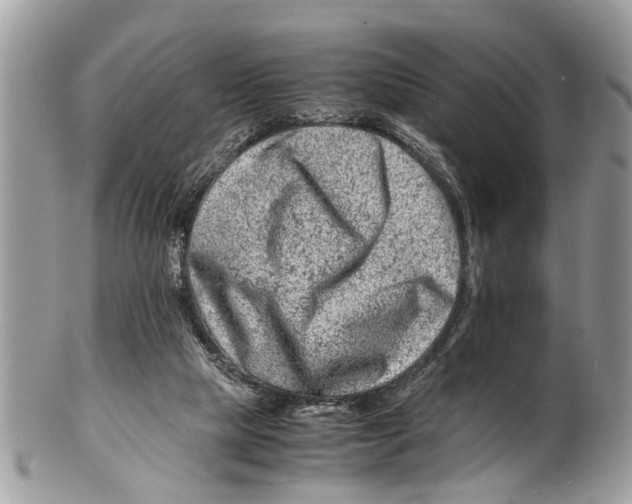 X0000101170065200807251142