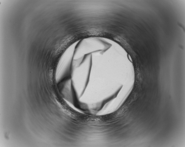 X0000101170066200807251142