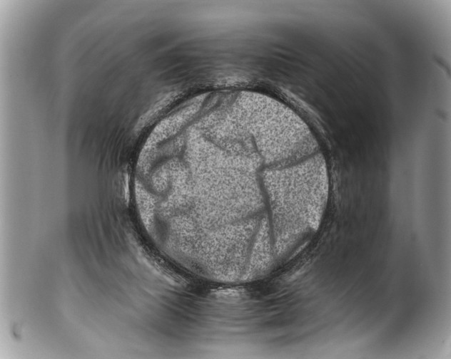X0000101170067200807251142
