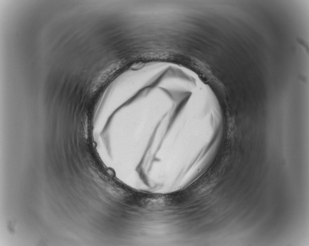 X0000101170068200807251142