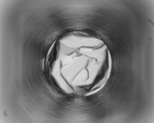X0000101170070200807251142