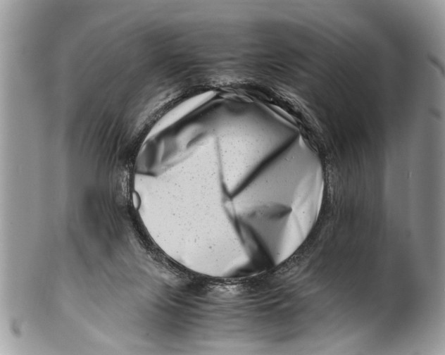 X0000101170071200807251142