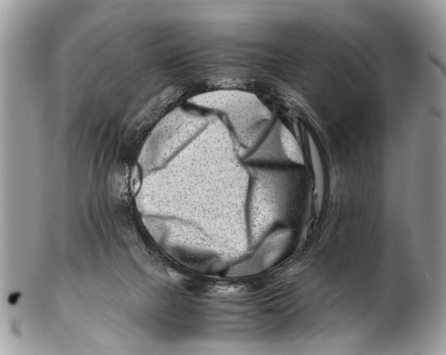 X0000101170073200807251142