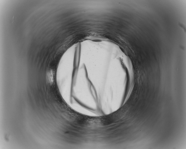 X0000101170075200807251142