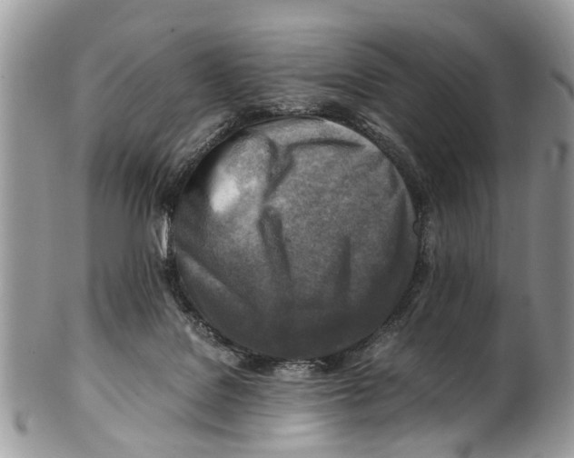 X0000101170076200807251142