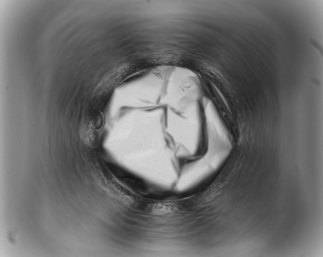 X0000101170077200807251142