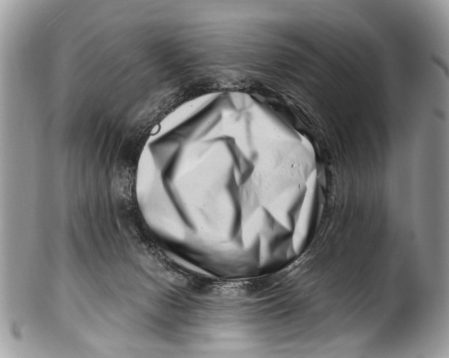 X0000101170078200807251142
