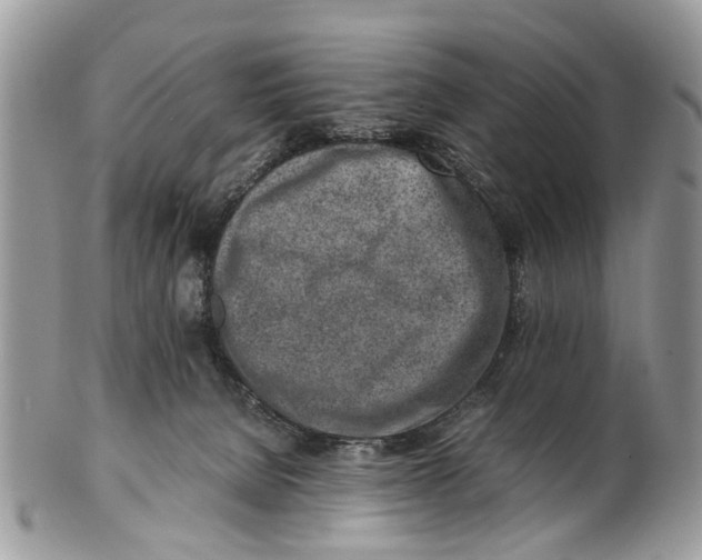 X0000101170080200807251142