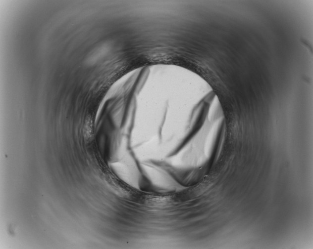 X0000101170081200807251142
