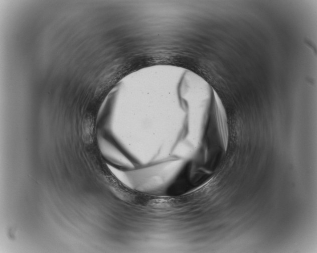 X0000101170082200807251142