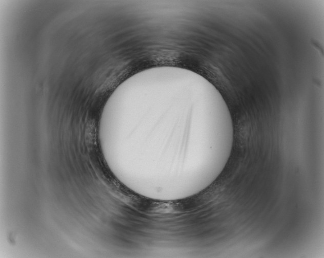 X0000101170083200807251142