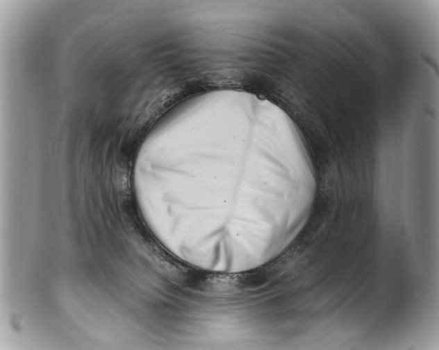 X0000101170084200807251142