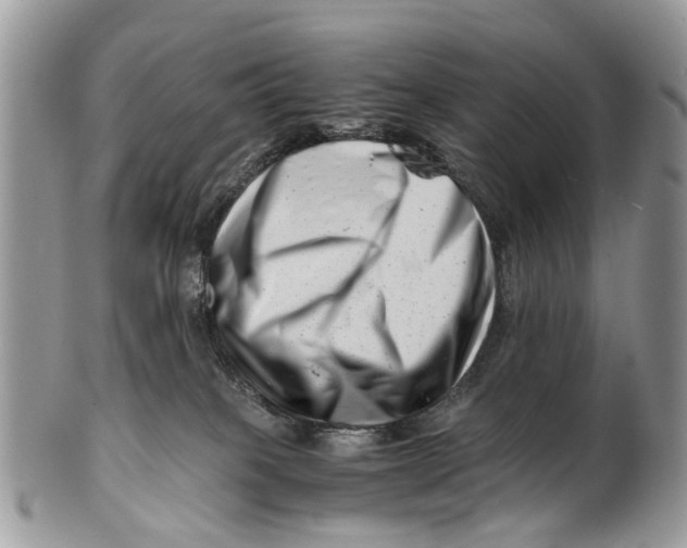 X0000101170085200807251142