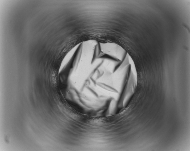 X0000101170086200807251142