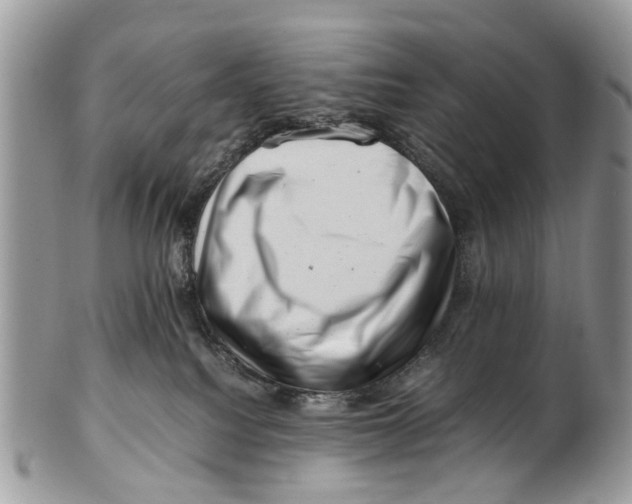 X0000101170088200807251142