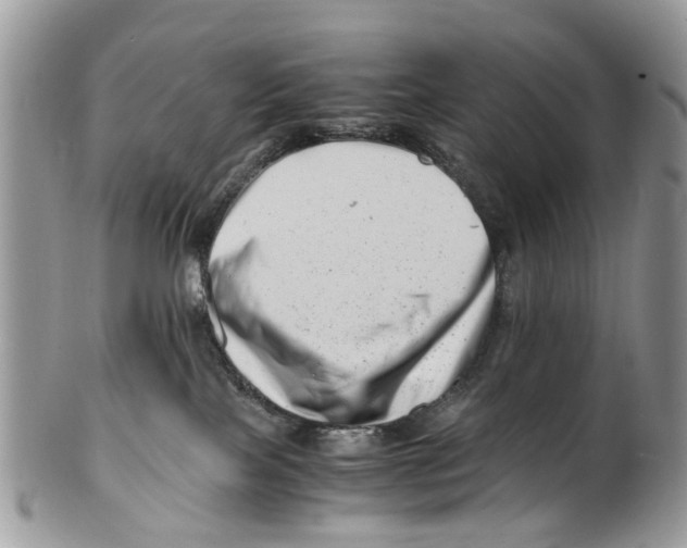 X0000101170089200807251142