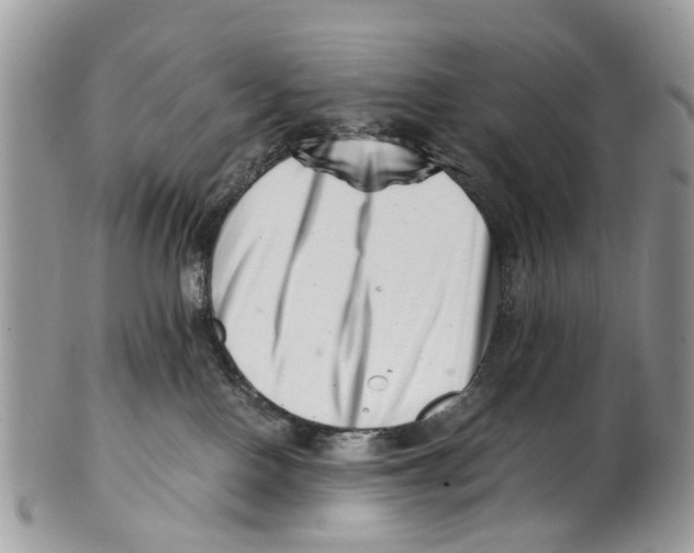 X0000101170090200807251142
