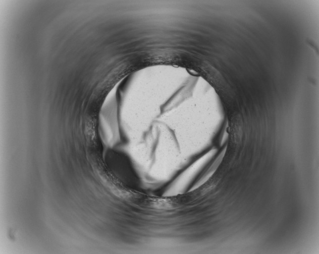 X0000101170091200807251142
