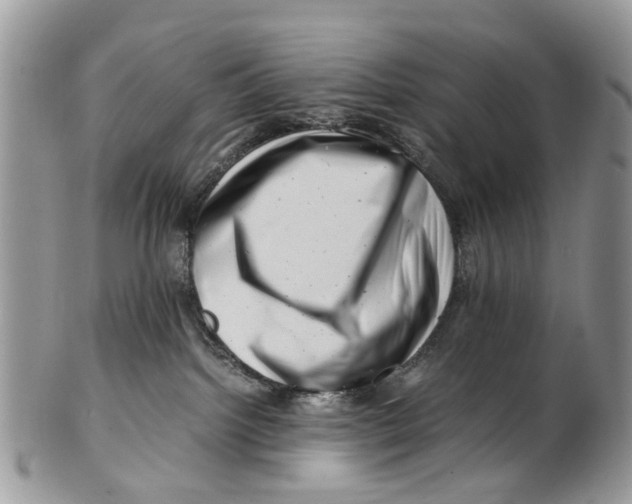X0000101170092200807251142