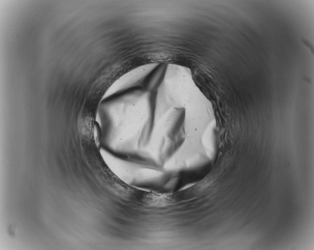 X0000101170093200807251142