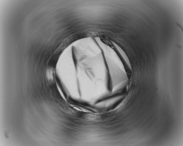 X0000101170094200807251142