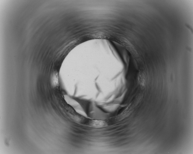 X0000101170095200807251142