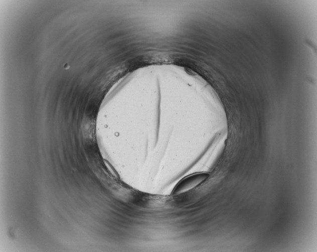X0000101170096200807251142