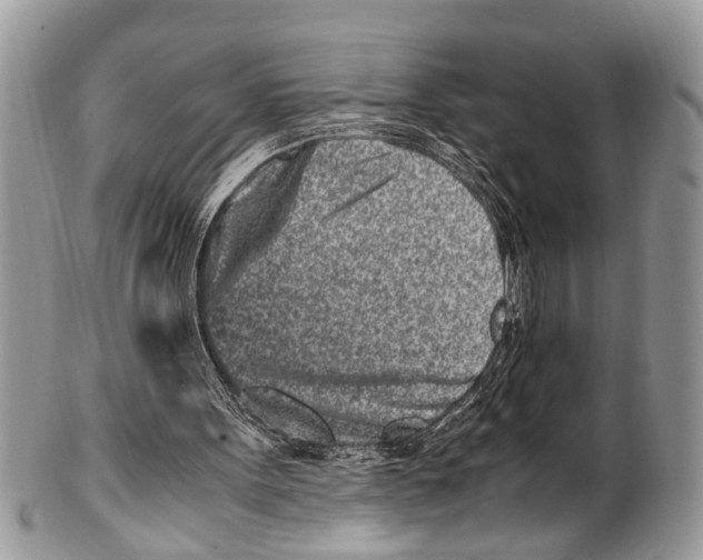 X0000101170099200807251142